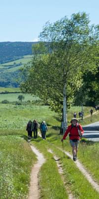 camino de santiago - walking the camino.jpg